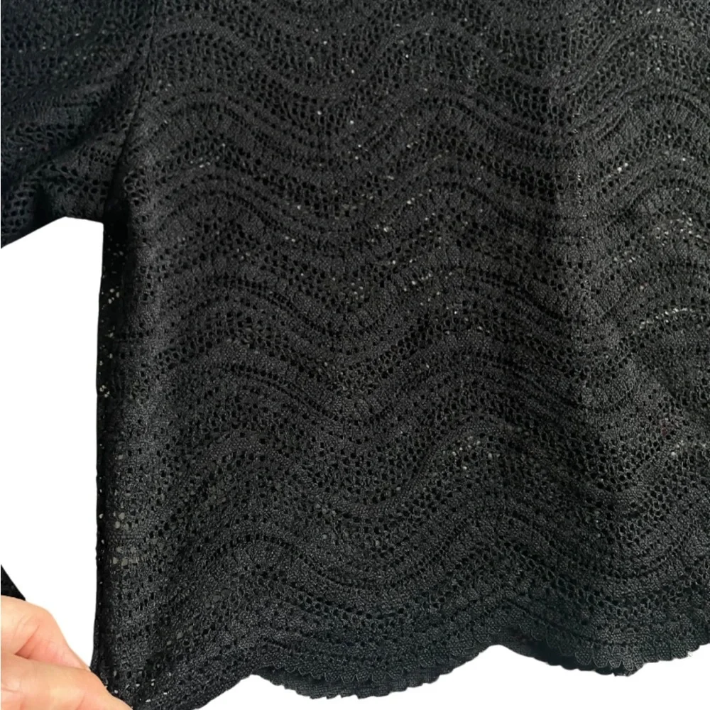 Zara Sheer Lace Long Sleeve Crop Top NEW